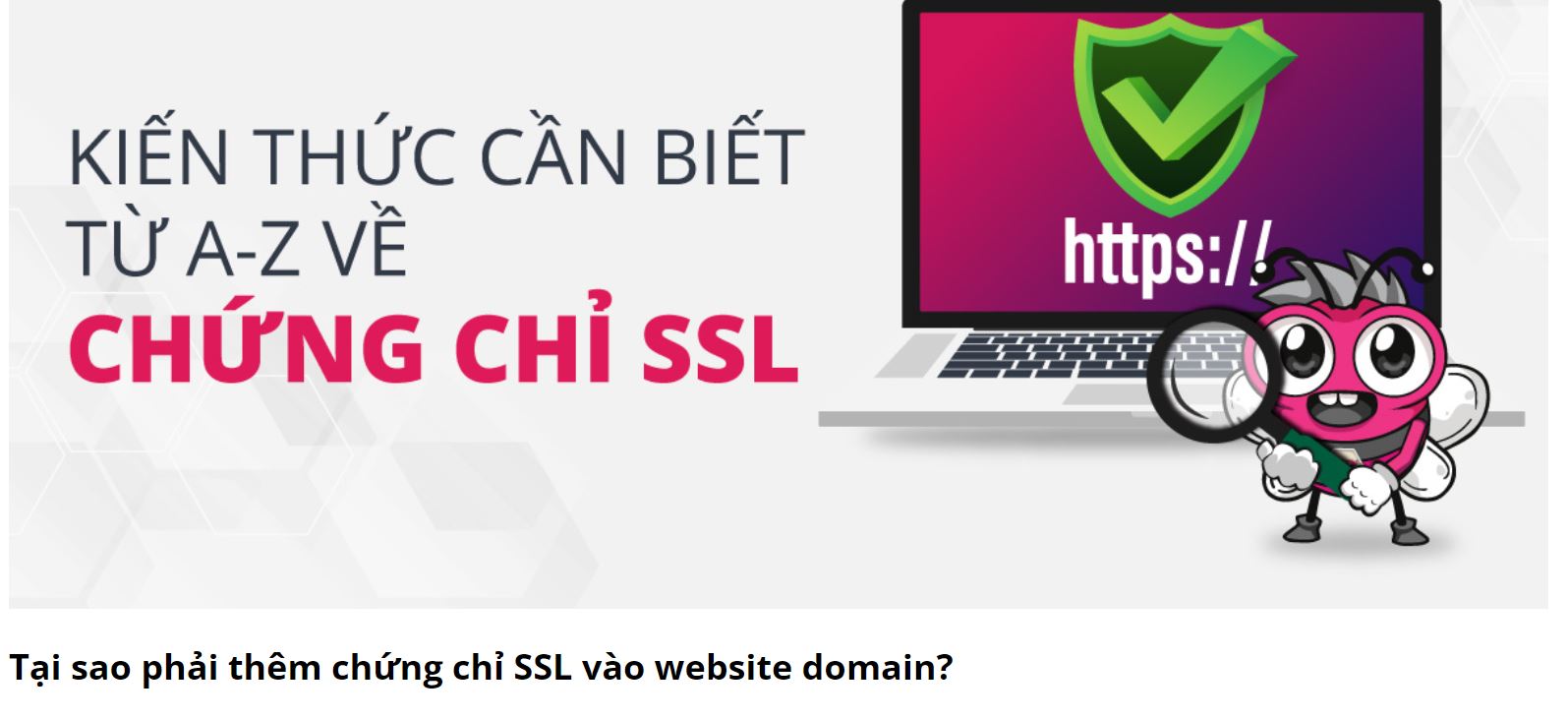 Chứng chỉ bảo mật ssl là gì? CẢNH BÁO: Sự cố chứng chỉ SSL